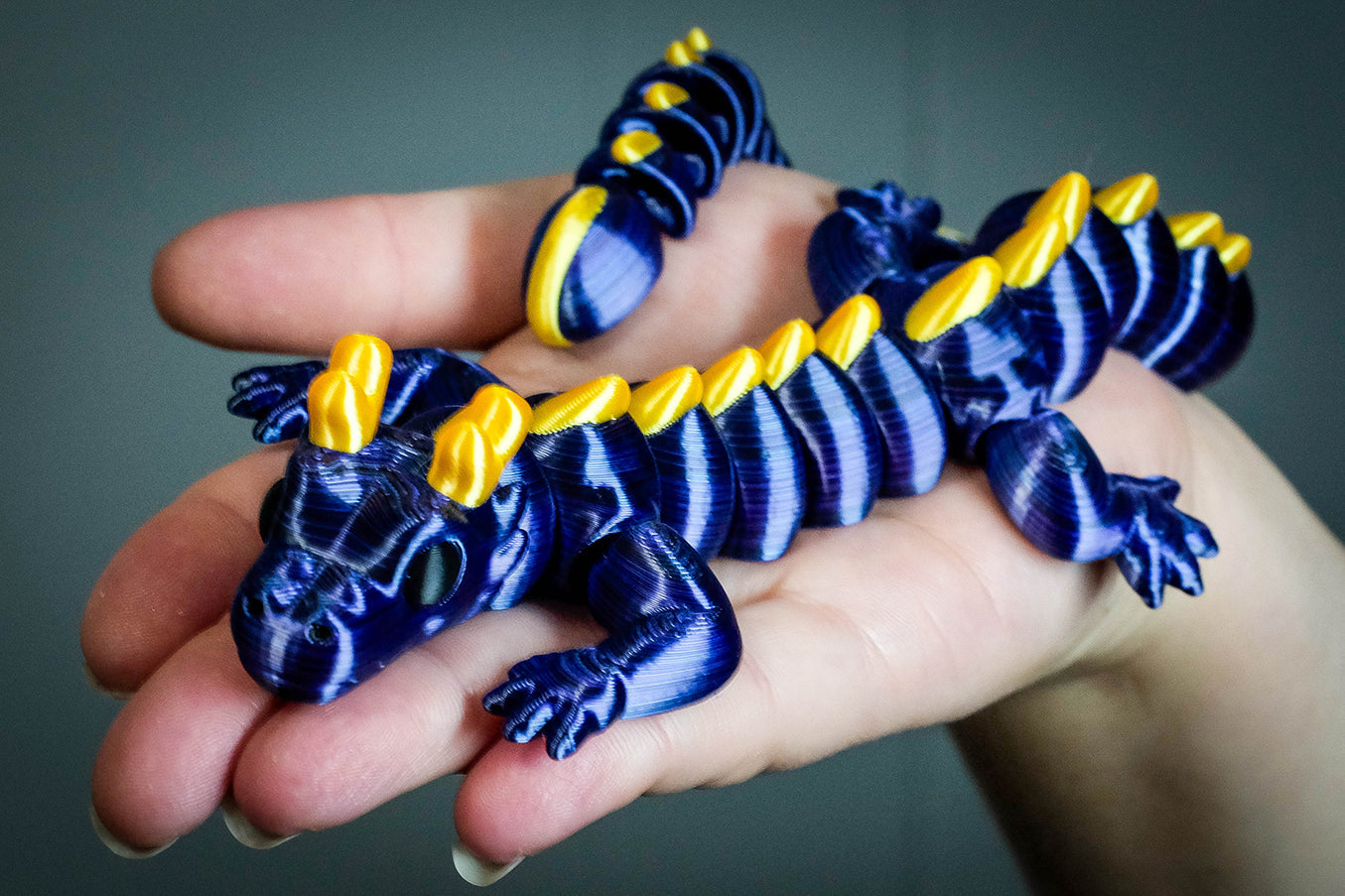 Dragons