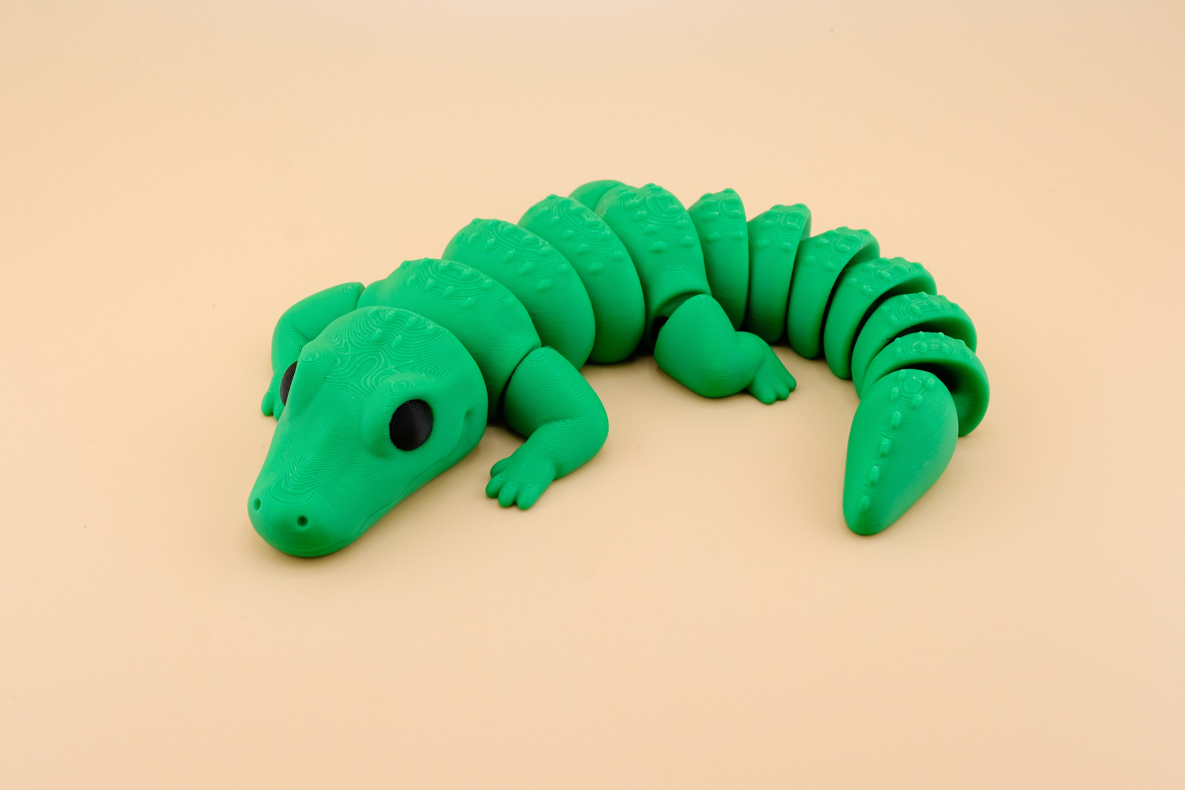 Alligator